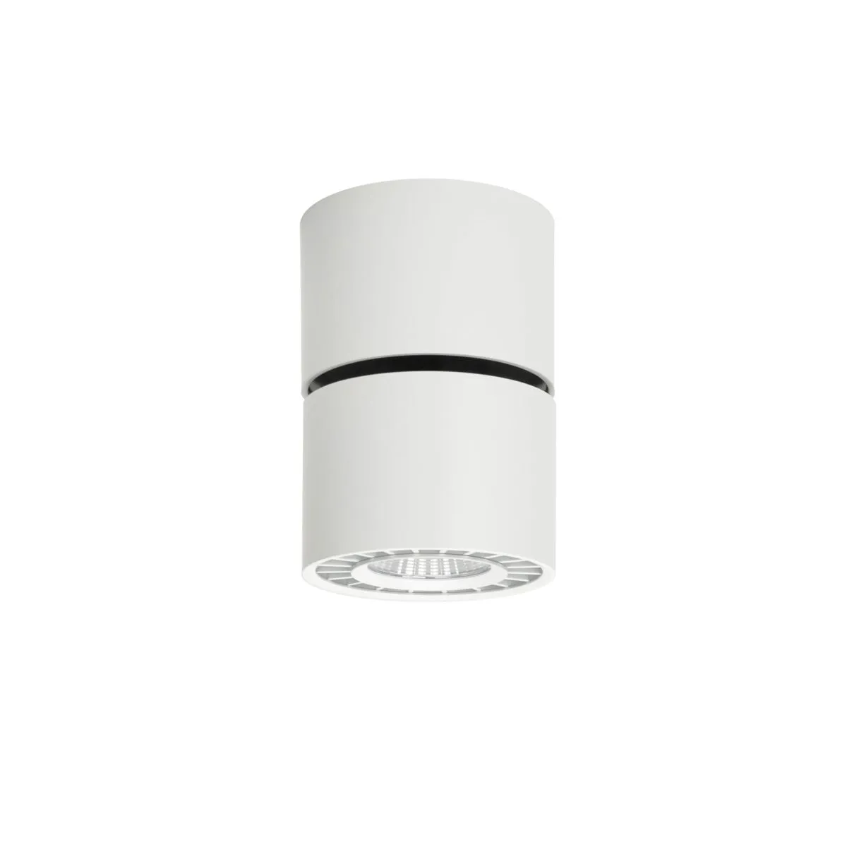 Herios, nowoczesna natynkowa lampa, biała, LED, 3000K, CLN-97018-12W-L-3K