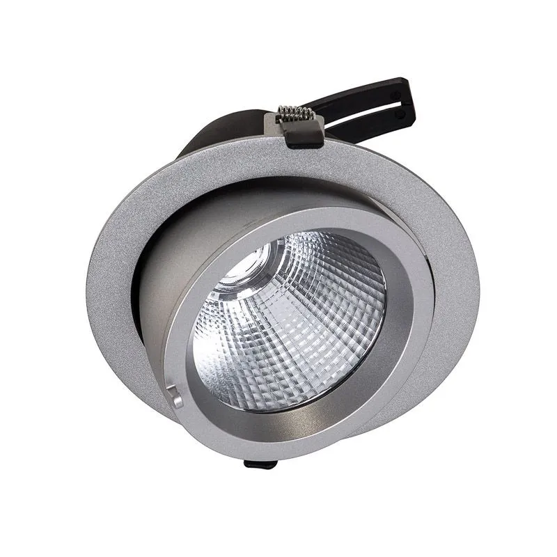 Baluum, nowoczesna lampa wpuszczana, do zastosowań profesjonalnych, srebrna, LED, DW-305/SV-WW/20