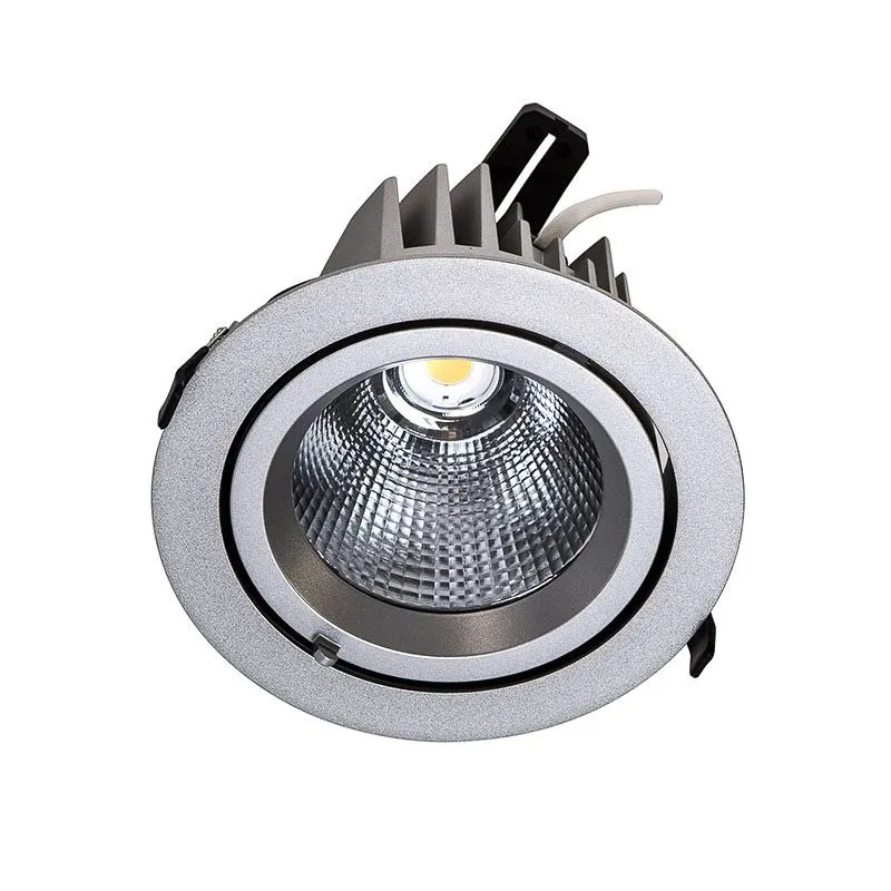 Baluum, nowoczesna lampa wpuszczana, do zastosowań profesjonalnych, srebrna, LED, DW-305/SV-WW/20