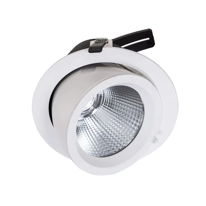 Baluum, nowoczesna lampa wpuszczana, do zastosowań profesjonalnych, biała, LED, DW-305/SV-WW/20