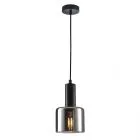 Santia, nowoczesna lampa wisząca, E27, PND-65342-1-BK+SG